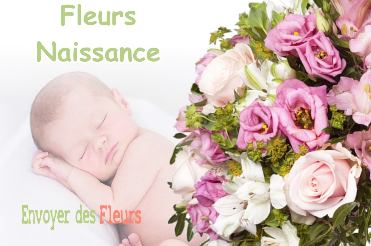 lIVRAISON FLEURS NAISSANCE à SAINT-AUBIN-SUR-AIRE