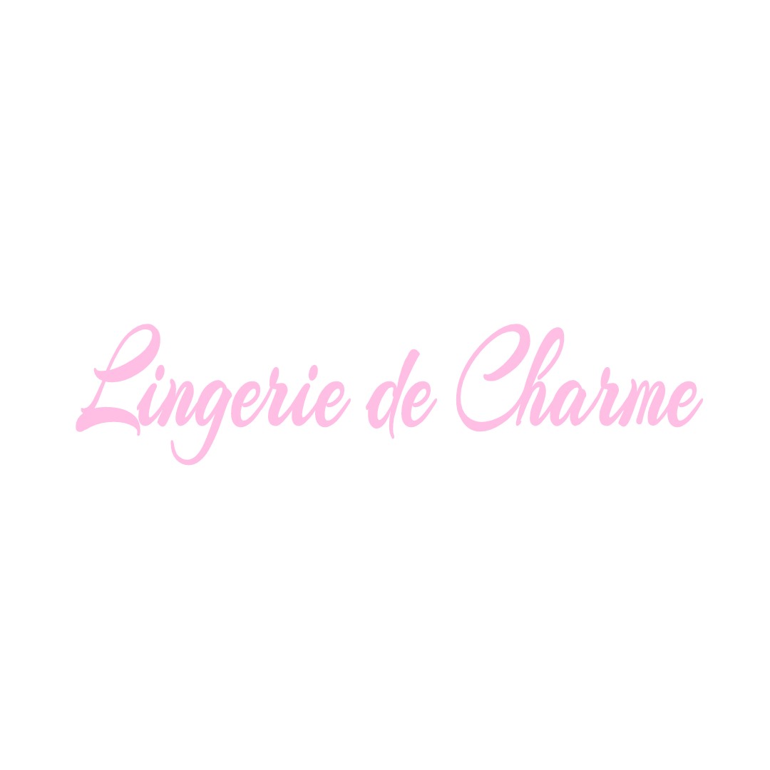 LINGERIE DE CHARME SAINT-AUBIN-SUR-AIRE